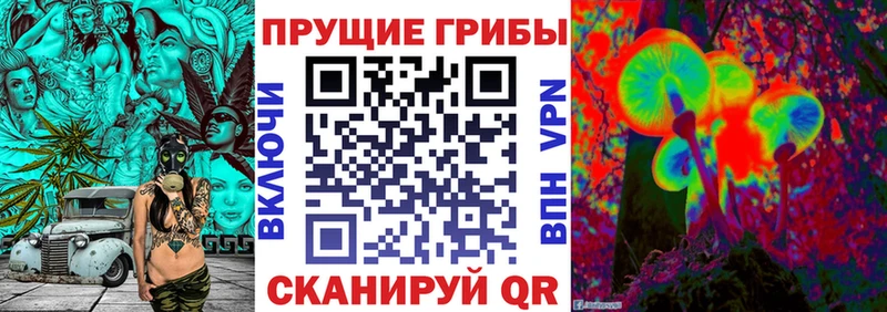 Купить  Власиха  Псилоцибиновые грибы прущие грибы 